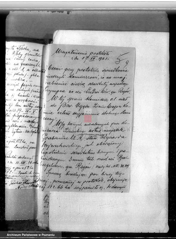 Obraz 13 z jednostki "Majątek Grabienice powiat koniński /nadzór nad gospodarką leśną/"