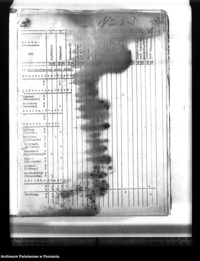 Obraz 5 z jednostki "Statistik der Krankheiten im Wartheland"