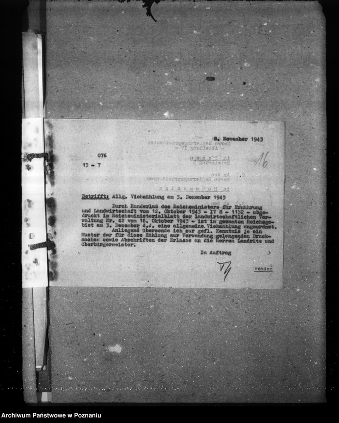 Obraz 20 z jednostki "Zarządzenia i korespondencja w sprawie sporządzenia spisu bydła"