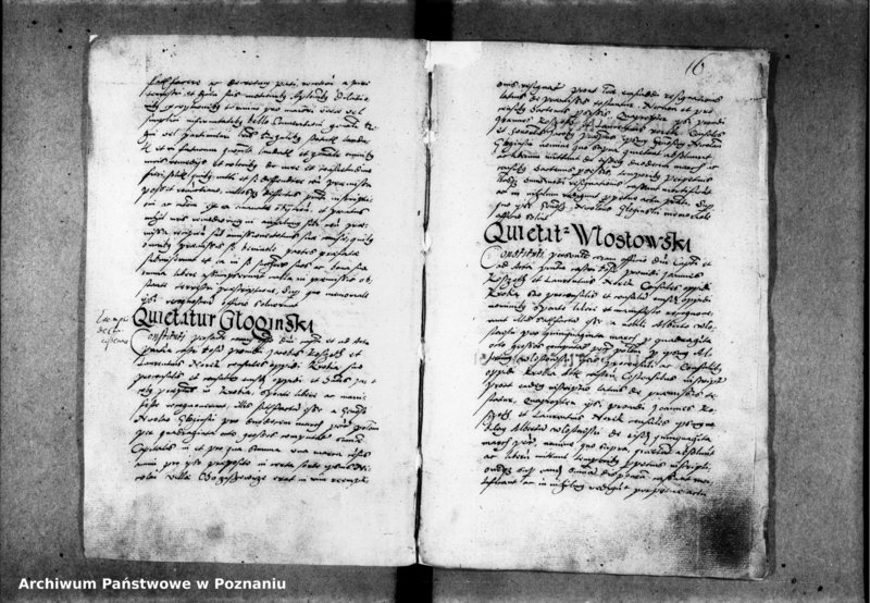 Obraz 20 z jednostki "Inscriptiones, relationes [inducta]"