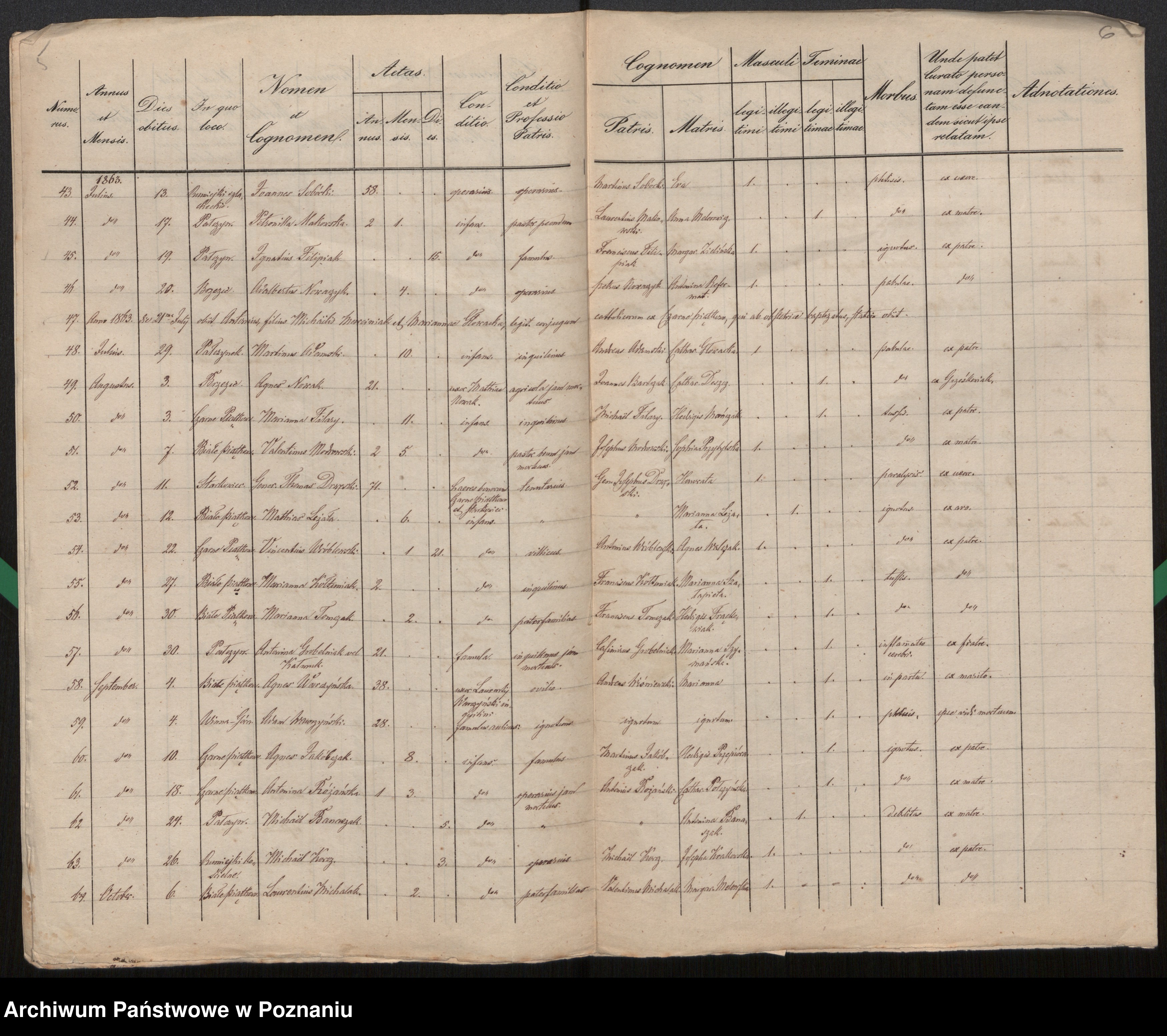 Skan z jednostki: Index mortuorum