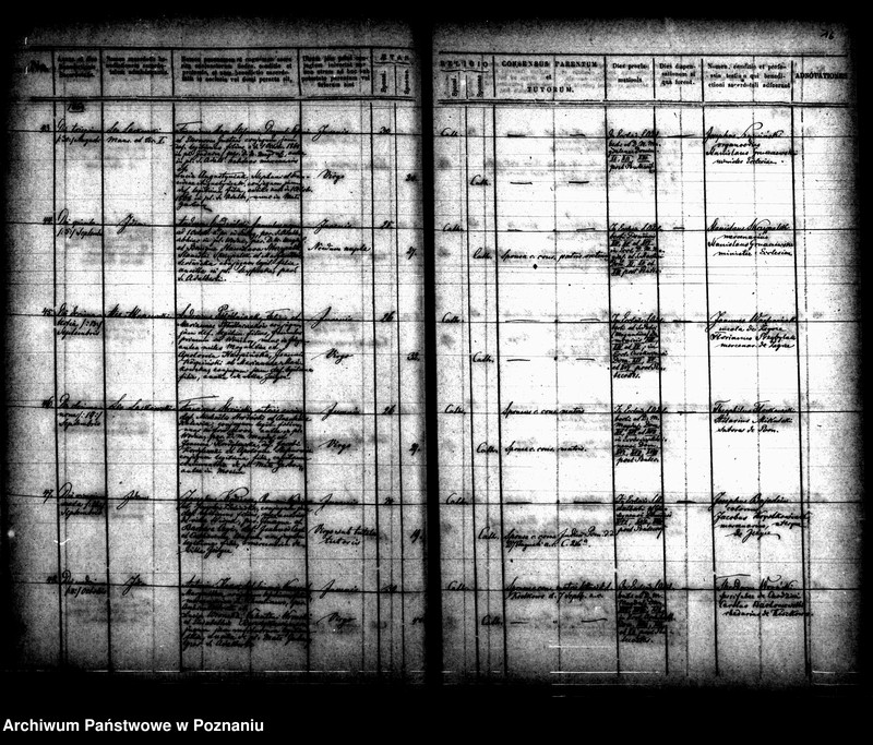 Obraz 9 z jednostki "Księga małżeństw"