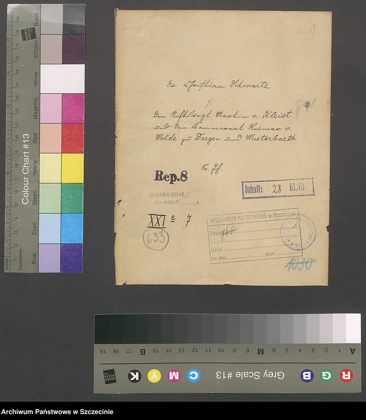 Obraz 3 z jednostki "Dr. Christian Schwartz contra Stiftsvogt Martin v[on] Kleist und den Kammerrat Reimer v[on] Wolde zu Dargen [Dargiń] und Wusterbarth [Ostre Bardo]."