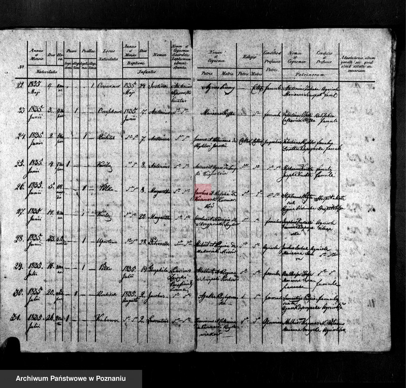 Obraz z jednostki "Liber baptisatorum"