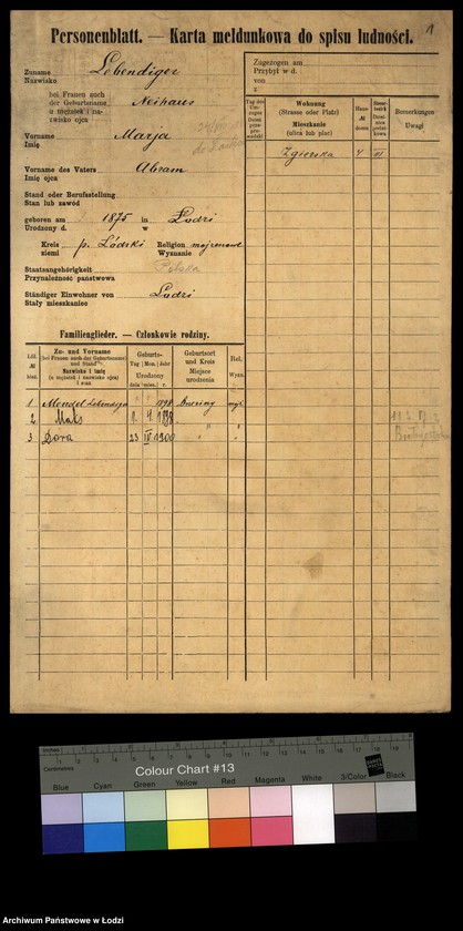 Obraz 3 z jednostki "[Spis ludności Łodzi] Lebendiger - Löffler"