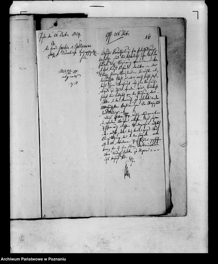 Obraz 20 z jednostki "Das Pensionsgesuch der Witwe Sophie von Zołtowska geborene Kowalska."