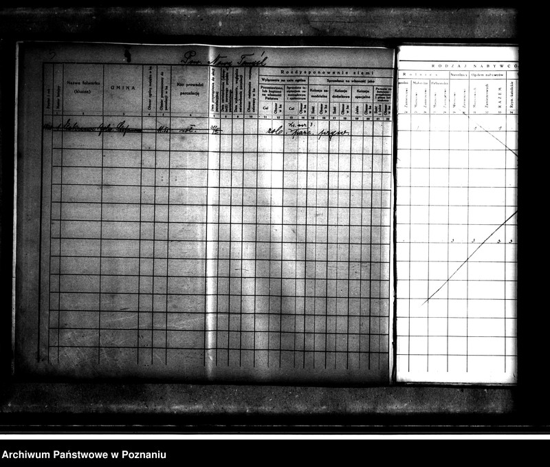 Obraz 9 z jednostki "Wykaz rozdysponowania ziemi na cele parcelacyjne powiatu nowotomyskiego"