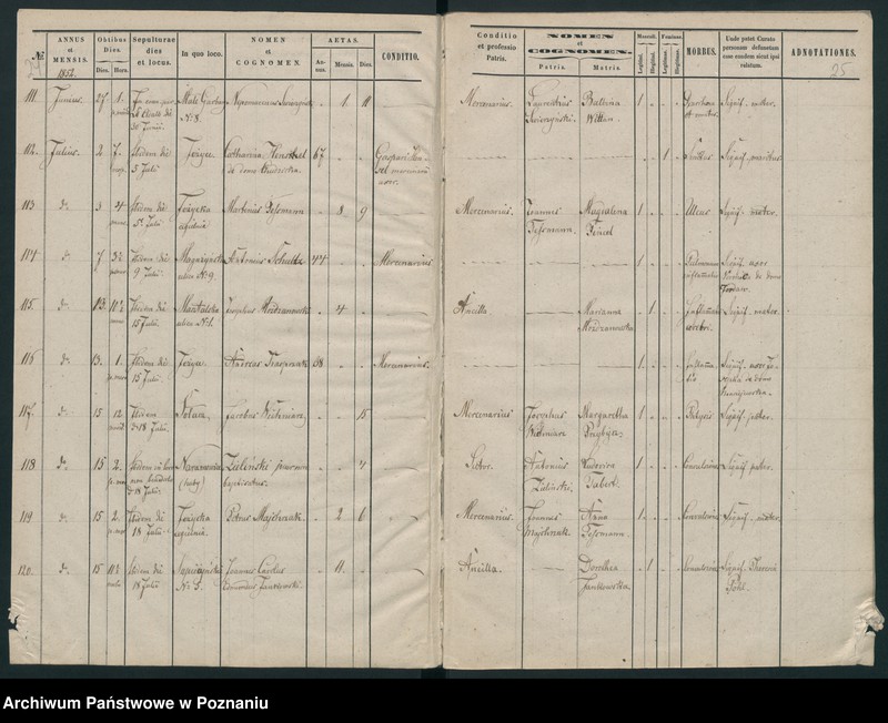 Obraz 14 z jednostki "Księga zgonów"