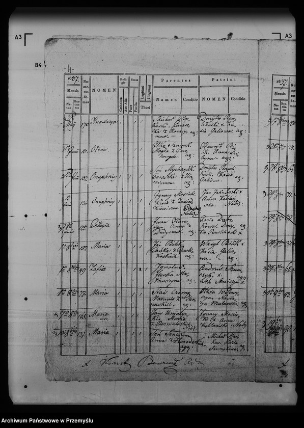 Obraz 8 z jednostki "[Kopie ksiąg metrykalnych parafii Krynica (dekanat Medenice)]"