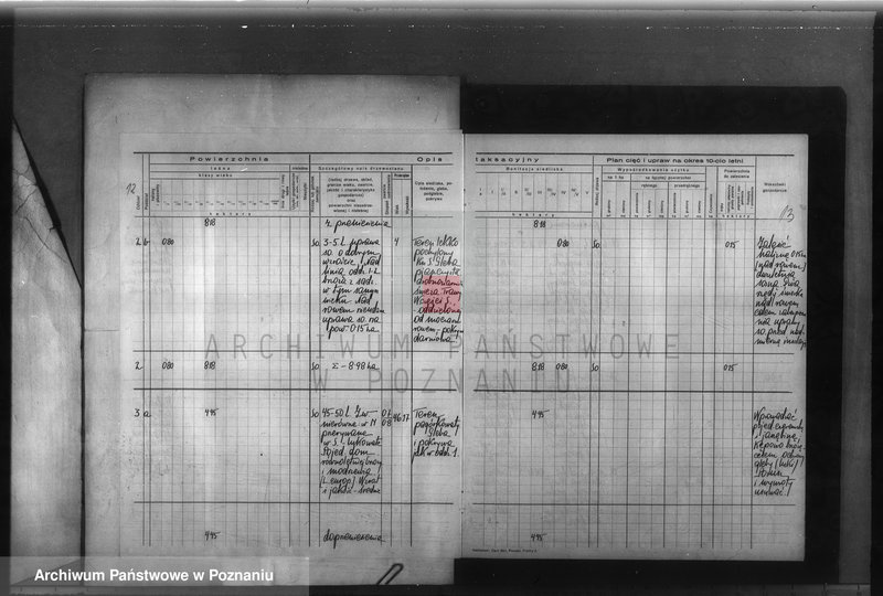Obraz 15 z jednostki "Program urządzenia gospodarstwa leśnego dla lasu majętności Glinno powiat poznański 1938-1948"