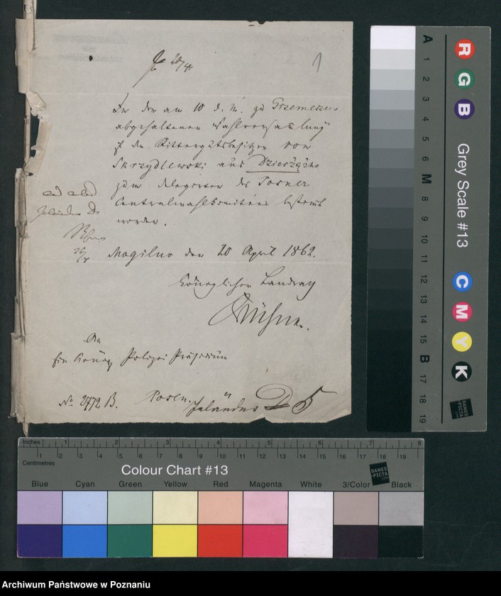 Obraz 2 z jednostki "A. betr. von Skrzydlewski Matheus"