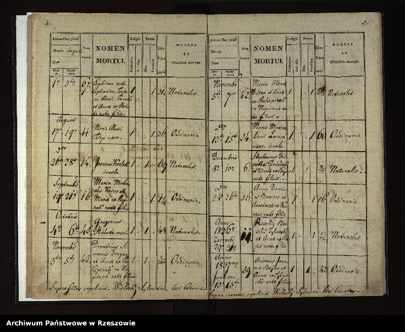 image.from.unit.number "Księga zgonów dla miejscowości Rozdziele"