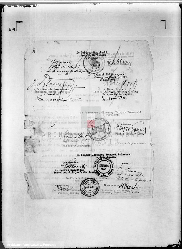 Obraz 6 z jednostki "/Polski Związek Bokserski w Poznaniu/"