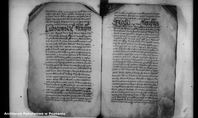 Obraz 6 z jednostki "Inscriptiones [inducta]"