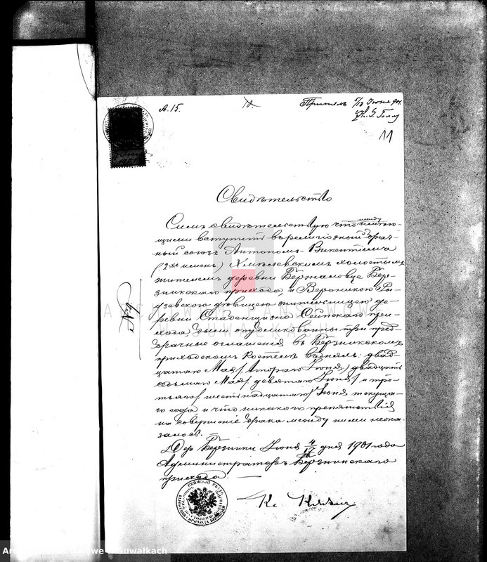 Obraz 15 z jednostki "Dokumenty k aktam brakosočetavšichsja Sejnskago Rimsko-Katoličeskago Prichoda za 1901 god."