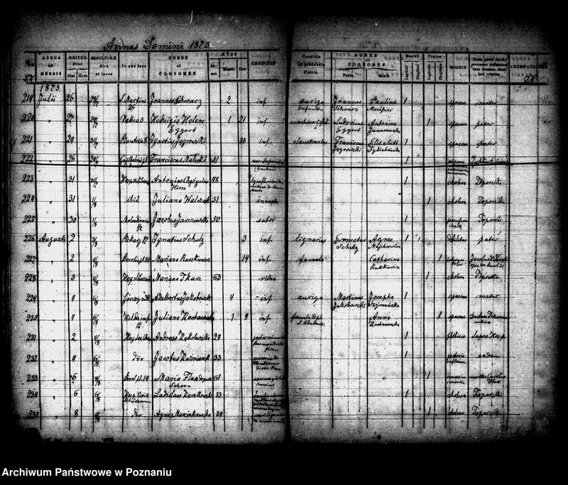 Obraz 15 z jednostki "Księga zgonów"