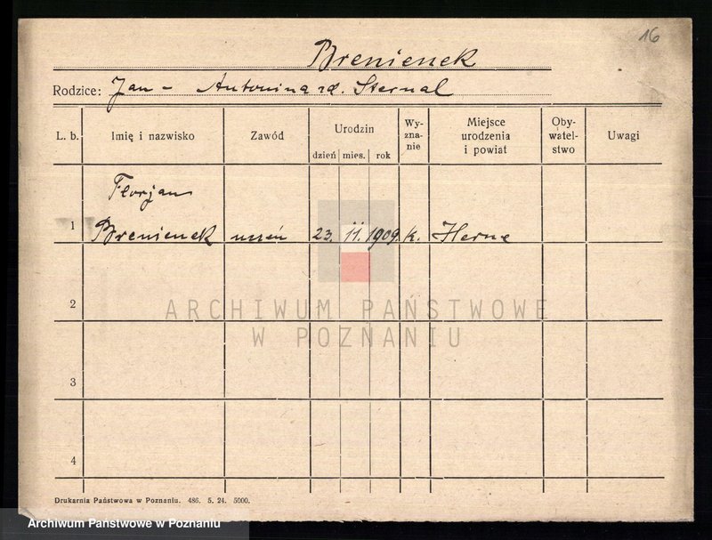 Obraz 18 z jednostki "Brengel - Bręczarska"