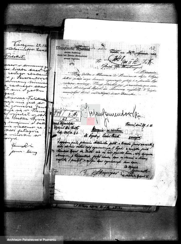 Obraz 16 z jednostki "Drzewostan w majętności państwowej Miniszew"