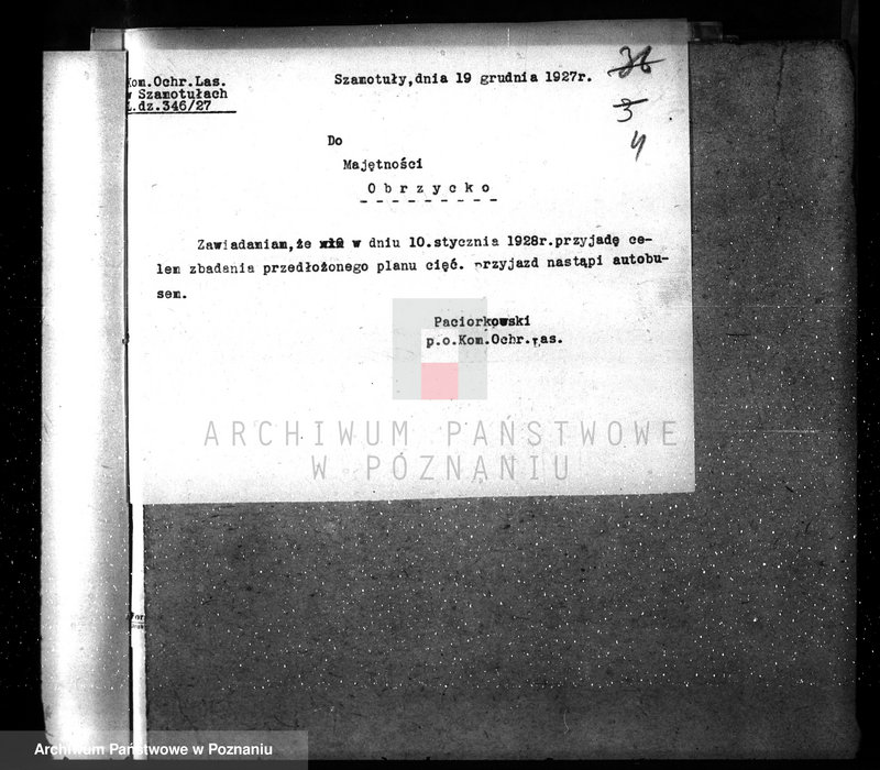 Obraz 8 z jednostki "Ordynacja Obrzycko /nadzór nad gospodarką leśną/"