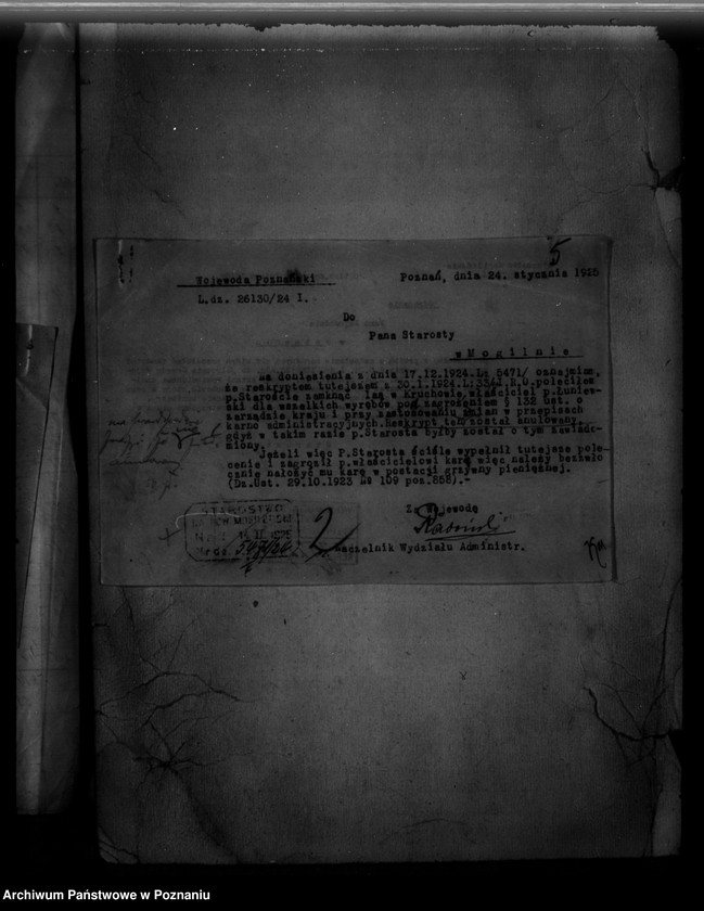 Obraz 9 z jednostki "/Majętność leśna Ruchowo powiat mogileński/"