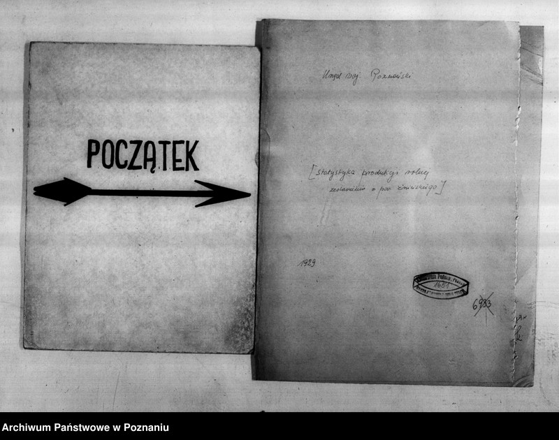 Obraz 2 z jednostki "Statystyka produkcji rolnej - zestawienie z powiatu żnińskiego"