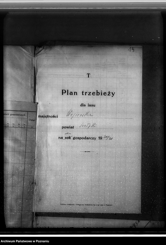 Obraz 18 z jednostki "Majętność leśna Węgierskie powiat średzki [opis lasu i plan cięć]"