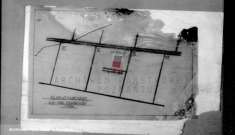 Obraz 8 z jednostki "Rejestr klasyfikacyjno-pomiarowy majątku Jadowniki w powiecie żnińskim"