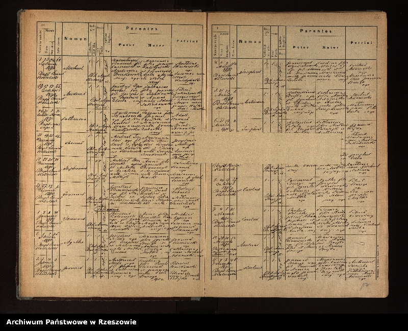 Obraz 18 z jednostki "Księga urodzeń, małżeństw i zgonów dla miejscowości Dudyńce, Jędruszkowce, Markowce, Pisarowce, Pobiedno"