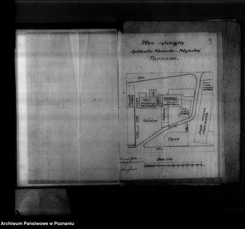 Obraz 13 z jednostki "Spółdzielnia mleczarsko-młyńska w Tarnowie powiat poznański  nr woj. 350"