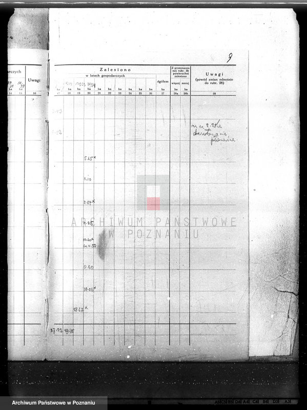 Obraz 13 z jednostki "Plan urządzenia gospodarstwa leśnego dla lasu majętności Nowy Dwór w powiecie nowotomyskim 1930-1940"