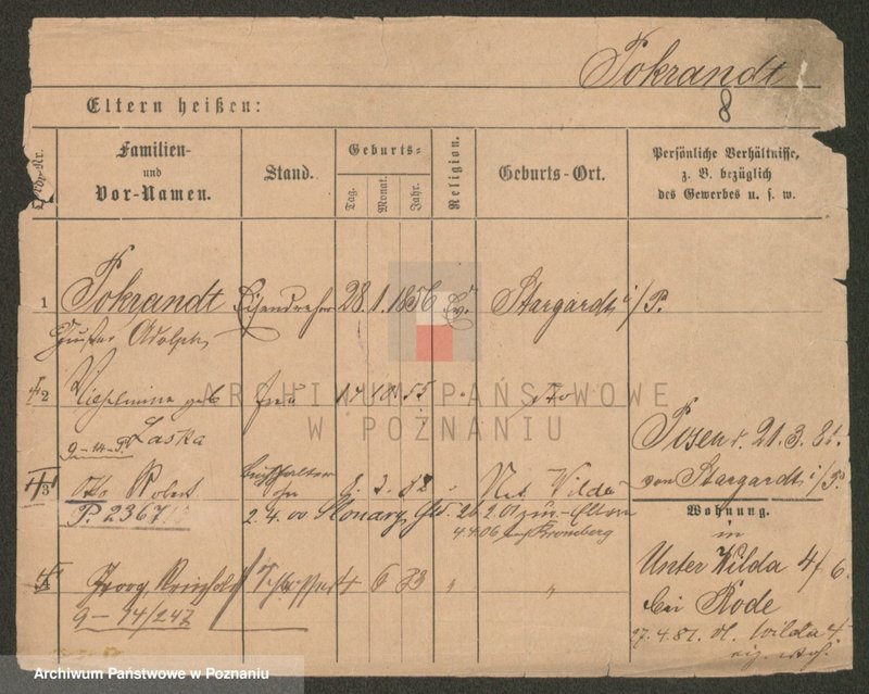 Obraz 8 z jednostki "Pokramowicz - Pol (żonaci - samotni mężczyźni)"