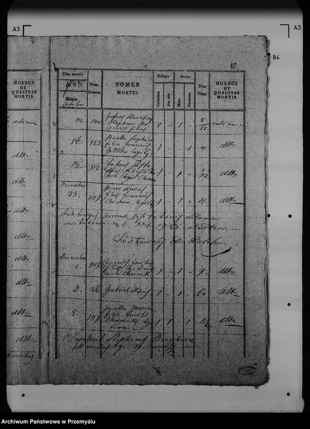 Obraz 15 z jednostki "[Kopie ksiąg metrykalnych parafii Wólka Mazowiecka (dekanat Rawa Ruska)]"
