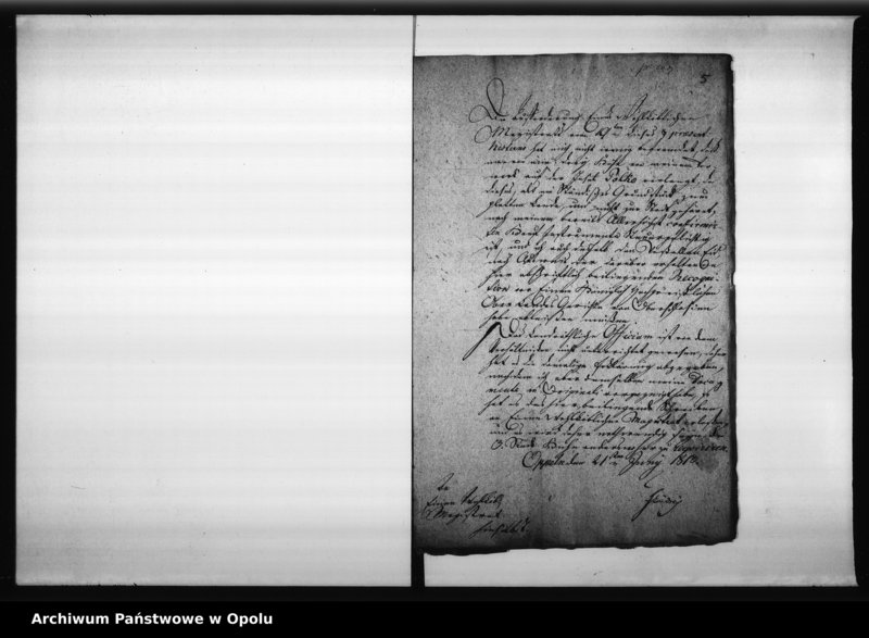 Obraz 9 z jednostki "Acta des Magistrats zu Oppeln ueber die Frage ob die ehemalige Minoritten Innsel Polko zum Lande oder zum städtischen Verbande gehören? 1813"