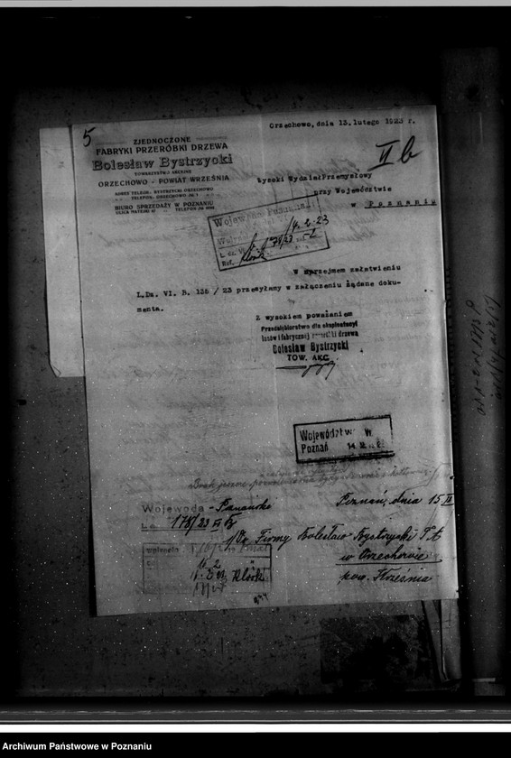 Obraz 10 z jednostki "Eksploatacja lasów i fabryka przeróbki drzewa w Orzechowie powiat wrzesiński B. Bystrzycki nr woj. 99"