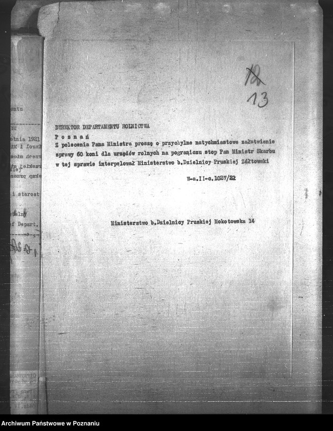 Obraz 17 z jednostki "Konie"