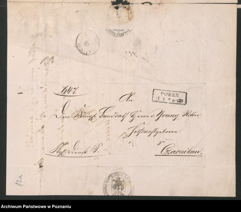 Obraz 17 z jednostki "A. betr. Theofil von Kaczorowski /Koczorowski/"