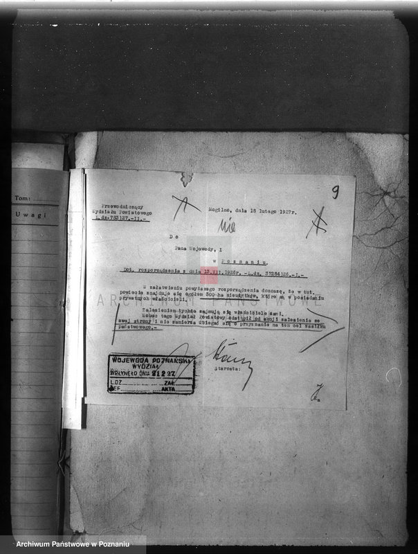 Obraz 13 z jednostki "Zalesienie nieużytków w powiecie mogileńskim"