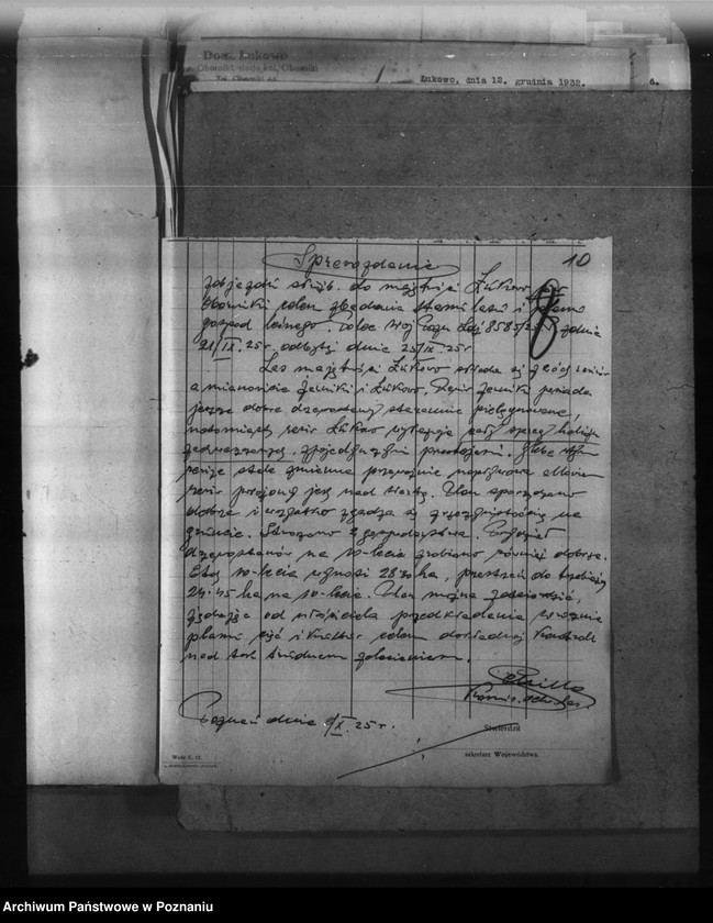 Obraz 15 z jednostki "Majętność leśna Łukowo powiat obornicki"