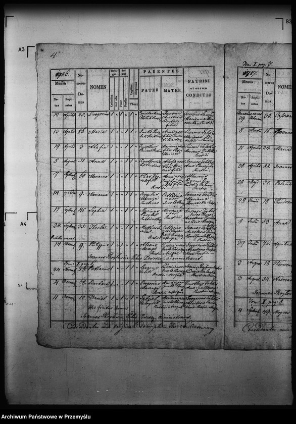 Obraz 8 z jednostki "[Kopie ksiąg metrykalnych parafii Powroźnik (dekanat Muszyna)]"
