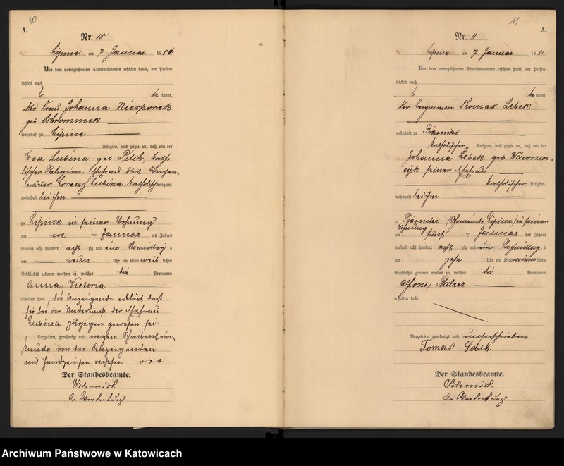 image.from.unit.number "Księga urodzeń T.1 nr 1-358"