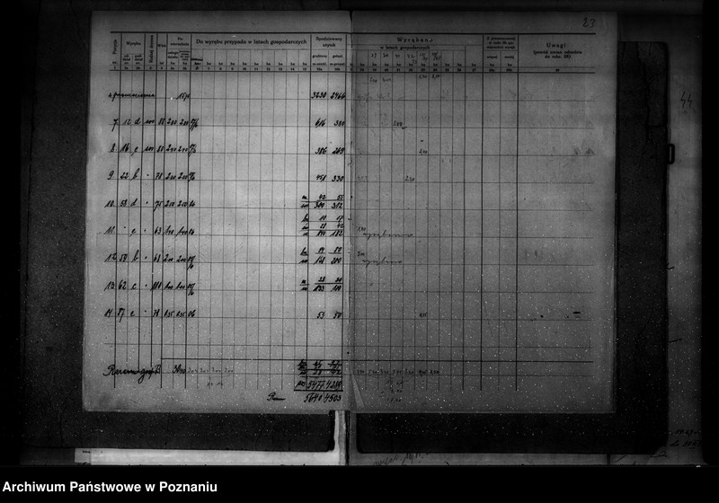 Obraz 18 z jednostki "Ogólny opis lasu majętności Września (plan cięć i plan urządzenia gospodarstwa leśnego)"