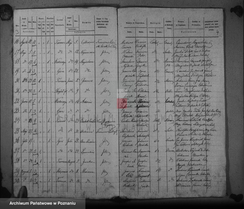 Obraz 5 z jednostki "Duplikat baptisatorum, copulatorum, mortuorum"