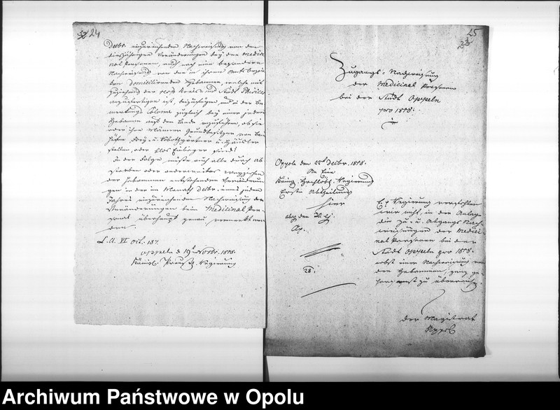 Obraz 20 z jednostki "Acta von Anfertigung und Einsendung der Nachweisungen des Medicinal Personals bey der Stadt Oppeln Vol. I pro 1817"