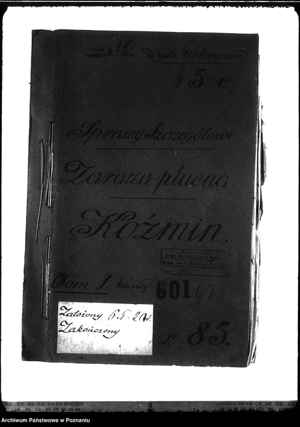 Obraz 4 z jednostki "Zaraza płucna - Koźmin"