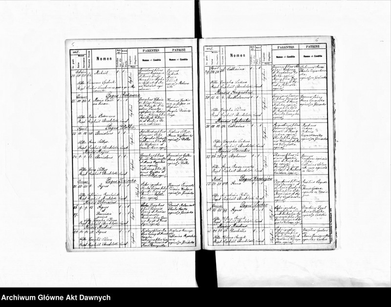 image.from.unit.number "Parafia: Uście Zielone. Dekanat: Buczacz. Księga metrykalna urodzeń, ślubów i zgonów dla miasta Uście Zielone i wsi: Baranów, Bobrowniki, Bukówna, Dołhe, Jarhorów, Jeziorko, Krasiejów, Krymidów, Lackie, Łazarówka, Łuka, Międzygórze, Niskołyzy, Nowosiółka, Petryłów, Senków, Trościaniec, Zadarów."