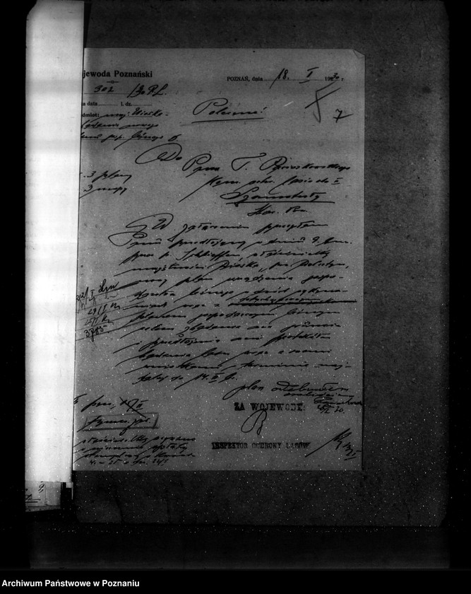 Obraz 11 z jednostki "Majętność leśna Wioska powiat wolsztyński"