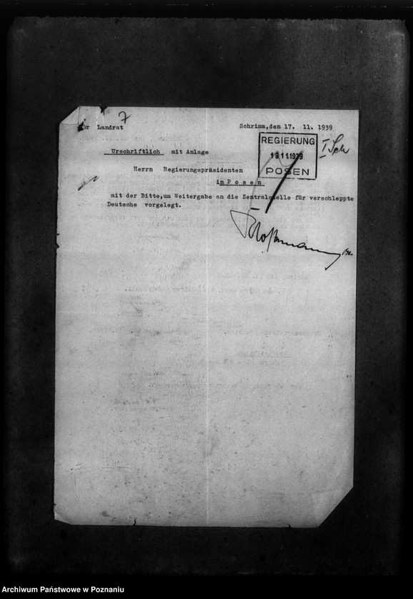 Obraz 11 z jednostki "Korespondencja w sprawie Niemców, którzy zginęli w 1939 roku w różnych powiatach"