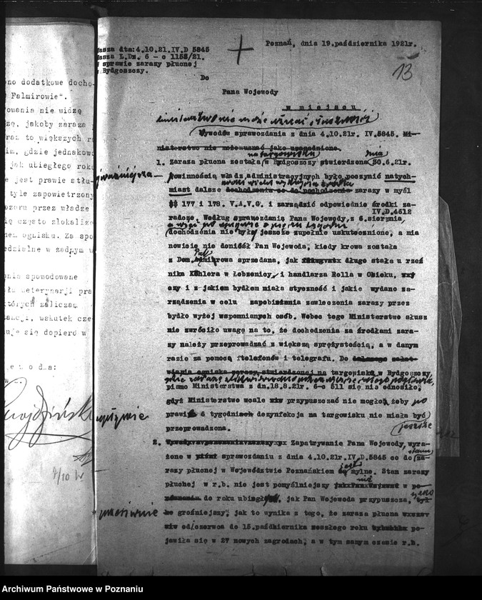 Obraz 17 z jednostki "Zaraza płucna - Bydgoszcz"