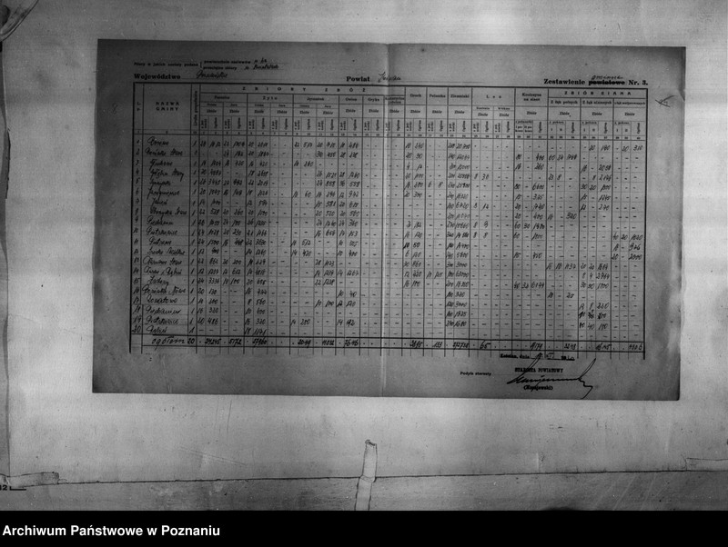 Obraz 10 z jednostki "/Statystyka produkcji rolnej - zestawienie z terenu powiatu kościańskiego"