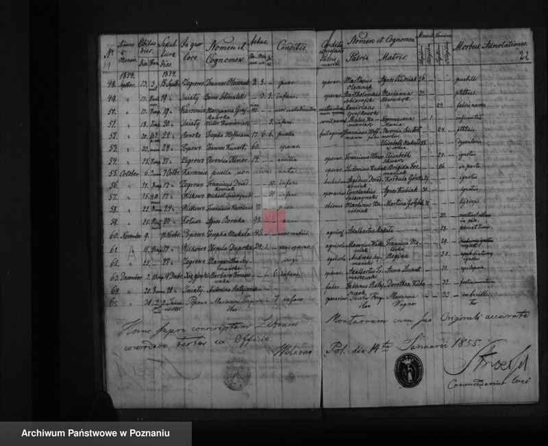 Obraz 15 z jednostki "Liber baptisatorum, copulatorum, mortuorum"